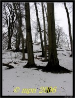 /album/fotogalerie-bukova-hora/dscn2464-jpg/